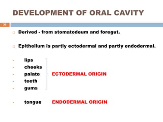 DEVELOPMENT OF ORAL CAVITY
 Derived - from stomatodeum and foregut.
 Epithelium is partly ectodermal and partly endodermal.
 lips
 cheeks
 palate ECTODERMAL ORIGIN
 teeth
 gums
 tongue ENDODERMAL ORIGIN
30
 