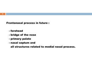 Frontonasal process in future :
- forehead
- bridge of the nose
- primary palate
- nasal septum and
all structures related to medial nasal process.
8
 