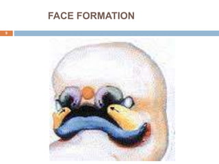 FACE FORMATION
9
 