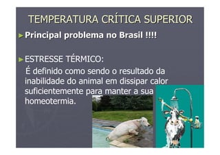 TEMPERATURA CRTEMPERATURA CRÍÍTICA SUPERIORTICA SUPERIOR
►►Principal problema no Brasil !!!!Principal problema no Brasil !!!!
►ESTRESSE TÉRMICO:
É definido como sendo o resultado da
inabilidade do animal em dissipar calor
suficientemente para manter a sua
homeotermia.
 