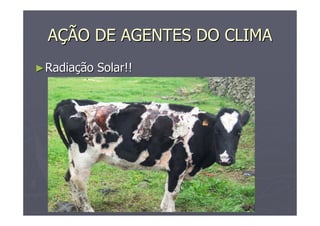 AAÇÇÃO DE AGENTES DO CLIMAÃO DE AGENTES DO CLIMA
►►RadiaRadiaçção Solar!!ão Solar!!
 