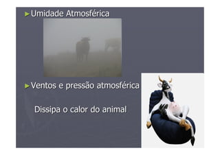 ►►Umidade AtmosfUmidade Atmosfééricarica
►►Ventos e pressão atmosfVentos e pressão atmosfééricarica
Dissipa o calor do animalDissipa o calor do animal
 