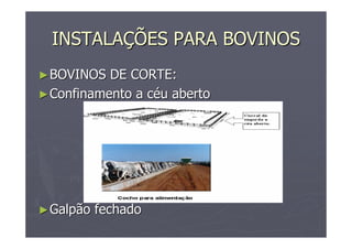 INSTALAINSTALAÇÇÕES PARA BOVINOSÕES PARA BOVINOS
►►BOVINOS DE CORTE:BOVINOS DE CORTE:
►►Confinamento a cConfinamento a cééu abertou aberto
►►Galpão fechadoGalpão fechado
 