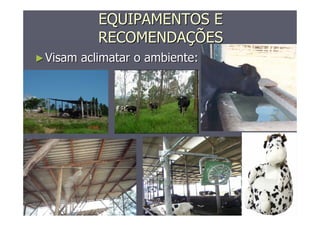 EQUIPAMENTOS EEQUIPAMENTOS E
RECOMENDARECOMENDAÇÇÕESÕES
►►Visam aclimatar o ambiente:Visam aclimatar o ambiente:
 