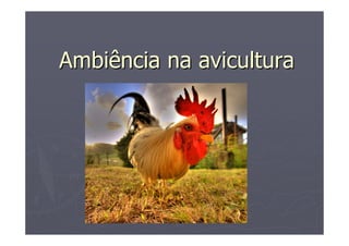 Ambiência na aviculturaAmbiência na avicultura
 