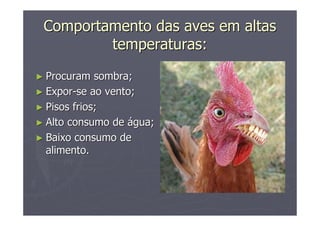 Comportamento das aves em altasComportamento das aves em altas
temperaturas:temperaturas:
►► Procuram sombra;Procuram sombra;
►► ExporExpor--se ao vento;se ao vento;
►► Pisos frios;Pisos frios;
►► Alto consumo deAlto consumo de áágua;gua;
►► Baixo consumo deBaixo consumo de
alimento.alimento.
 