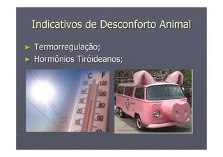 Indicativos de Desconforto AnimalIndicativos de Desconforto Animal
►► TermorregulaTermorregulaççãoão;;
►► HormôniosHormônios TirTiróóideanosideanos;;
 