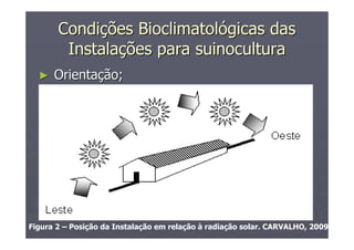 CondiCondiçções Bioclimatolões Bioclimatolóógicas dasgicas das
InstalaInstalaçções para suinoculturaões para suinocultura
►► OrientaOrientaçção;ão;
Figura 2 – Posição da Instalação em relação à radiação solar. CARVALHO, 2009.
 