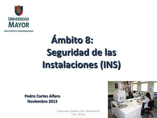 Ámbito 8:
Seguridad de las
Instalaciones (INS)
Pedro Cortes Alfaro
Noviembre 2013
Diplomado Gestión Cal. Acreditación
Lab. Clínico

 