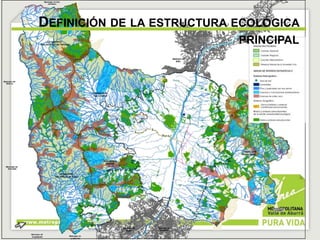 DEFINICIÓN DE LA ESTRUCTURA ECOLÓGICA 
PRINCIPAL 
 