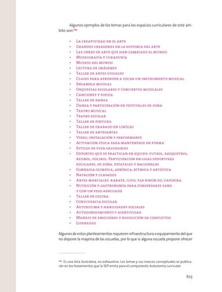 Algunos ejemplos de los temas para los espacios curriculares de este ám-
bito son:265
performance
Algunosdeestosplanteamientosrequiereninfraestructuraoequipamientodelque
no dispone la mayoría de las escuelas, por lo que si alguna escuela propone ofrecer
265
Es una lista ilustrativa, no exhaustiva. Los temas y sus marcos conceptuales se publica-
rán en los lineamientos que la SEP emita para el componente Autonomía curricular.
623
 