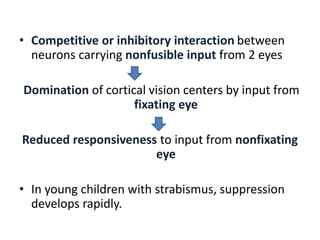 • Competitive or inhibitory interaction between
neurons carrying nonfusible input from 2 eyes
Domination of cortical vision centers by input from
fixating eye
Reduced responsiveness to input from nonfixating
eye
• In young children with strabismus, suppression
develops rapidly.
 