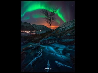 Lofoten
 