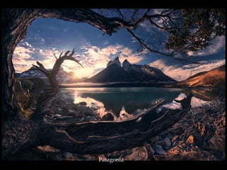 Patagonia
 