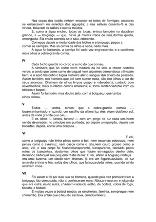 Nas copas dos butiás vinham encostar-se bolos de formigas; ascobras
se enroscavam na enrediça dos aguapés; e nas estivas dosanta-fé e das
iriricas, boiavam os ratões e outros miúdos.
        E, como a água encheu todas as tocas, entrou também na dacobra-
grande, a — boiguaçu — que, havia já muitas mãos de luas,dormia quieta,
entanguida. Ela então acordou-se e saiu, rabeando.
        Começou depois a mortandade dos bichos e a boiguaçu pegou a
comer as carniças. Mas só comia os olhos e nada, nada mais.
        A água foi baixando, a carniça foi cada vez engrossando, e a cadahora
mais olhos a cobra-grande comia.

IV
       Cada bicho guarda no corpo o sumo do que comeu.
       A tambeira que só come trevo maduro dá no leite o cheiro domilho
verde; o cerdo que come carne de bagual nem alqueires demandioca o limpam
bem; e o socó tristonho o biguá matreiro aténo sangue têm cheiro de pescado.
Assim também, nos homens,que até sem comer nada, dão nos olhos a cor de
seus arrancos. Ohomem de olhos limpos guapo e mão-aberta; cuidado com
osvermelhos; mais cuidados comos amarelos; e, toma tendênciadoble com os
raiados e baços!…
       Assim foi também, mas doutro jeito, com a boiguaçu, que tantos
olhos comeu.

V
      Todos — tantos, tantos! que a cobra-grande comeu —,
lavam,entranhado e luzindo, um rastilho da última luz eles viram doúltimo sol,
antes da noite grande que caiu...
      E os olhos — tantos, tantos! — com um pingo de luz cada um,foram
sendo devorados; no principio um punhado, ao depois umaporção, depois um
bocadão, depois, como uma braçada…

VI
                                                                          E vai,
como a boiguaçu não tinha pêlos como o boi, nem escamas odourado, nem
penas como o avestruz, nem casca como o tatu,nem couro grosso como a
anta, vai, o seu corpo foi ficandotransparente, transparente, clareado pelos
miles de luzezinhas, dostantos olhos que foram esmagados dentro dele,
deixando cadaqual sua pequena réstia de luz. E vai, afinal, a boiguaçu toda já
era uma luzerna, um clarão sem chamas, já era um fogaréuazulado, de luz
amarela e triste e fria, saída dos olhos, que foraguardada neles, quando ainda
estavam vivos…

VII
       Foi assim e foi por isso que os homens, quando pela vez primeiraviram a
boiguaçu tão demudada, não a conheceram mais. Nãoconheceram e julgando
que era outra, muito outra, chamam-nadesde então, de boitatá, cobra de fogo,
boitatá, a boitatá!
       E muitas vezes a boitatá rondou as rancherias, faminta, sempreque nem
chimarrão. Era então que o téu-téu cantava, comobombeiro.
 