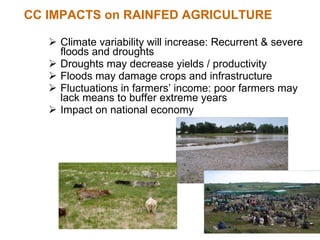 Rainwater management for food security and environmental services in Ethiopia 