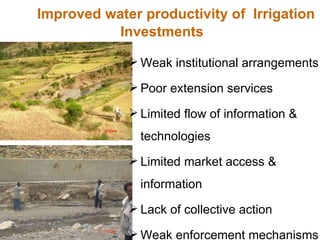 Rainwater management for food security and environmental services in Ethiopia 
