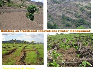 Rainwater management for food security and environmental services in Ethiopia 