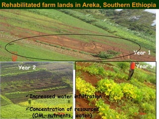 Rainwater management for food security and environmental services in Ethiopia 