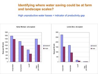 Rainwater management for food security and environmental services in Ethiopia 
