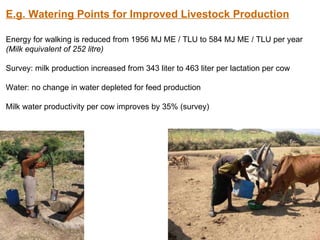 Rainwater management for food security and environmental services in Ethiopia 