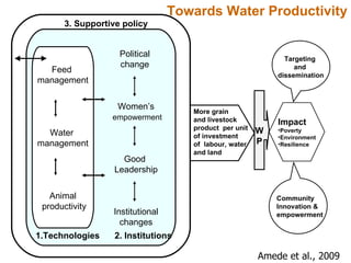 Rainwater management for food security and environmental services in Ethiopia 