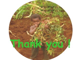 Rainwater management for food security and environmental services in Ethiopia 