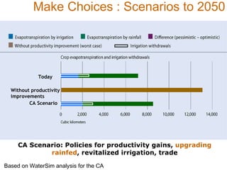 Rainwater management for food security and environmental services in Ethiopia 