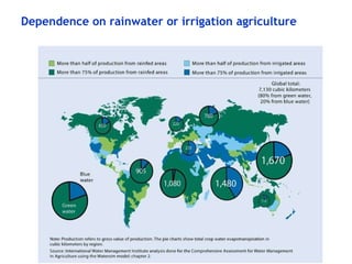 Rainwater management for food security and environmental services in Ethiopia 