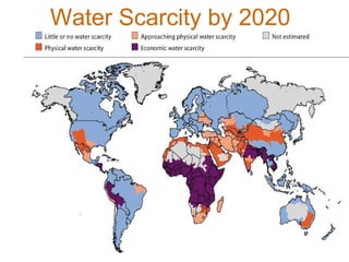 Rainwater management for food security and environmental services in Ethiopia 