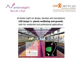 At Ambra Light we design, develop and manufacture
LED lamps for plants wellbeing and growth,
both for residential and professional applications.
 