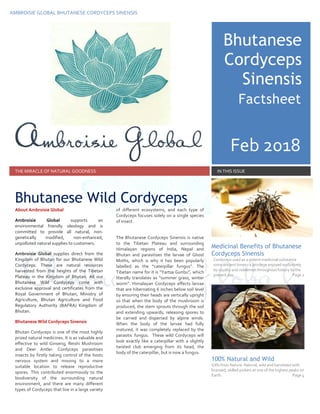 AMBROISIE GLOBAL BHUTANESE CORDYCEPS SINENSIS
Bhutanese
Cordyceps
Sinensis
THE MIRACLE OF NATURAL GOODNESS IN THIS ISSUE
About Ambroisie Global
Ambroisie Global supports an
environmental friendly ideology and is
committed to provide all natural, non-
genetically modified, non-enhanced,
unpolluted natural supplies to customers.
Ambroisie Global supplies direct from the
Kingdom of Bhutan for our Bhutanese Wild
Cordyceps. These are natural resources
harvested from the heights of the Tibetan
Plateau in the Kingdom of Bhutan. All our
Bhutanese Wild Cordyceps come with
exclusive approval and certificates from the
Royal Government of Bhutan, Ministry of
Agriculture, Bhutan Agriculture and Food
Regulatory Authority (BAFRA) Kingdom of
Bhutan.
Bhutanese Wild Cordyceps Sinensis
Bhutan Cordyceps is one of the most highly
prized natural medicines. It is as valuable and
effective to wild Ginseng, Reishi Mushroom
and Deer Antler. Cordyceps parasitises
insects by firstly taking control of the hosts
nervous system and moving to a more
suitable location to release reproductive
spores. This contributed enormously to the
biodiversity of the surrounding natural
environment, and there are many different
types of Cordyceps that live in a large variety
of different ecosystems, and each type of
Cordyceps focuses solely on a single species
of insect.
The Bhutanese Cordyceps Sinensis is native
to the Tibetan Plateau and surrounding
Himalayan regions of India, Nepal and
Bhutan and parasitises the larvae of Ghost
Moths, which is why it has been popularly
labelled as the “caterpillar fungus”. The
Tibetan name for it is “Yartsa Gunbu”, which
literally translates as “summer grass, winter
worm”. Himalayan Cordyceps affects larvae
that are hibernating 6 inches below soil level
by ensuring their heads are vertically upright
so that when the body of the mushroom is
produced, the stem sprouts through the soil
and extending upwards, releasing spores to
be carried and dispersed by alpine winds.
When the body of the larvae had fully
matured, it was completely replaced by the
parasitic fungus. These wild Cordyceps will
look exactly like a caterpillar with a slightly
twisted club emerging from its head, the
body of the caterpillar, but is now a fungus.
Medicinal Benefits of Bhutanese
Cordyceps Sinensis
Cordyceps used as a potent medicinal substance
since ancient times– a privilege enjoyed exclusively
by royalty and noblemen throughout history to the
present day. Page 2
100% Natural and Wild
Gifts from Nature. Natural, wild and harvested with
licensed, skilled pickers at one of the highest peaks on
Earth. Page 4
Bhutanese Wild Cordyceps
Factsheet
Feb 2018
 