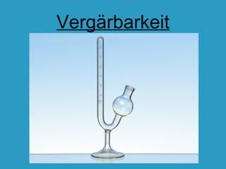 Vergärbarkeit
 