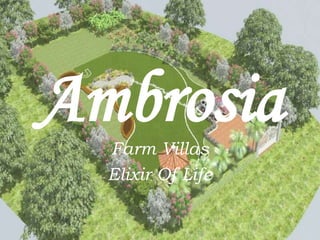 AmbrosiaFarm Villas
Elixir Of Life
 
