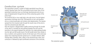 5
Conduction system
The myocardium contains a system of highly specialised tissue that can
conduct impulses faster than the surrounding muscle tissue. Parts of this
specialised conducting tissue can discharge spontaneously and set up a
wave of depolarisation through the rest of the conducting system of the
entire heart.
The sinoatrial (SA) or sinus node high in the right atrium, has the highest
spontaneous discharge rate of 60–100 beats/min at rest, and therefore
acts as a natural pacemaker and initiates atrial depolarisation.The impulse
spreads from the sinoatrial node through the muscle mass of the atria to
reach the atrioventricular (AV) node.
Here the impulse is delayed before rapidly continuing through the bundle
of His, which is normally the only pathway between the atria and the
ventricles. In the septum between the ventricles, this single pathway divides
into the right and left bundle branch.The left bundle branch then divides in
two, an anterior and a posterior fascicle.At the lower part of the ventricular
septum the conducting branches spread out in a complex network called
Purkinje fibres.Therefore, after a delay in the atrioventricular node, atrial
contraction is followed by rapid coordinated contraction of the ventricles.
The conduction system.
Sinoatrial node
Atrioventricular
node
Right bundle branch
Left posterior
hemifascicle
Left anterior hemi-
fascicle
Left bundle branch
Electrically inert
atrioventricular
region
Right
atrium
Left
atrium
Right
ventricle
Left
ventricle
 