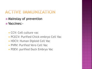 IMMUNIZATION | PPTX