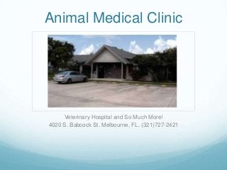 Animal Medical Clinic




     Veterinary Hospital and So Much More!
4020 S. Babcock St. Melbourne, FL. (321)727-2421
 