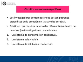 Circuitos neuronales específicos
• Los investigadores contemporáneos buscan patrones
específicos de la emoción en la actividad cerebral.
• Existirían tres circuitos neuronales diferenciados dentro del
cerebro: (en investigaciones con animales)
1. Un sistema de aproximación conductual.
2. Un sistema pelea-huida.
3. Un sistema de inhibición conductual.
 