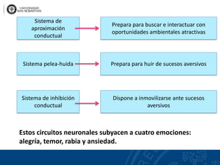 Estos circuitos neuronales subyacen a cuatro emociones:
alegría, temor, rabia y ansiedad.
Sistema de
aproximación
conductual
Prepara para buscar e interactuar con
oportunidades ambientales atractivas
Sistema pelea-huida Prepara para huir de sucesos aversivos
Sistema de inhibición
conductual
Dispone a inmovilizarse ante sucesos
aversivos
 