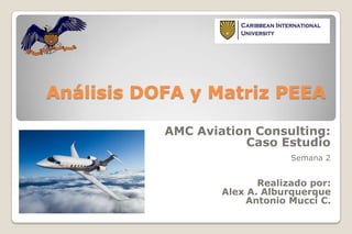 Análisis DOFA y Matriz PEEA
AMC Aviation Consulting:
Caso Estudio
Semana 2

Realizado por:
Alex A. Alburquerque
Antonio Mucci C.

 
