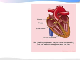 ECGpedia ECG course part I: Basic electrocardiography