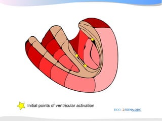 ECGpedia ECG course part I: Basic electrocardiography