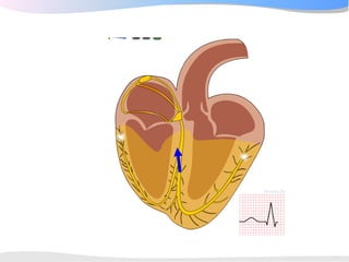 ECGpedia ECG course part I: Basic electrocardiography