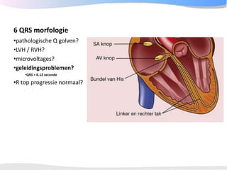 ECGpedia ECG course part I: Basic electrocardiography