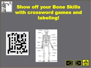 Show off your Bone Skills
with crossword games and
labeling!
 