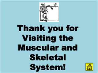 Thank you for
Visiting the
Muscular and
Skeletal
System!
 