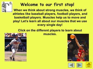 Welcome to our first stop!
When we think about strong muscles, we think of
athletes like baseball players, football players, and
basketball players. Muscles help us to move and
play! Let’s learn all about our muscles that we use
every single day!
Click on the different players to learn about
muscles.
 
