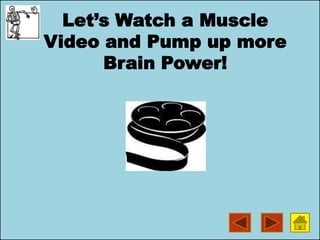 Let’s Watch a Muscle
Video and Pump up more
Brain Power!
 