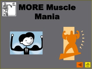 MORE Muscle
Mania
 