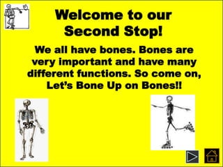 Welcome to our
Second Stop!
We all have bones. Bones are
very important and have many
different functions. So come on,
Let’s Bone Up on Bones!!
 